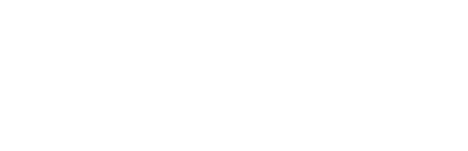 Logo Serge Ferrari